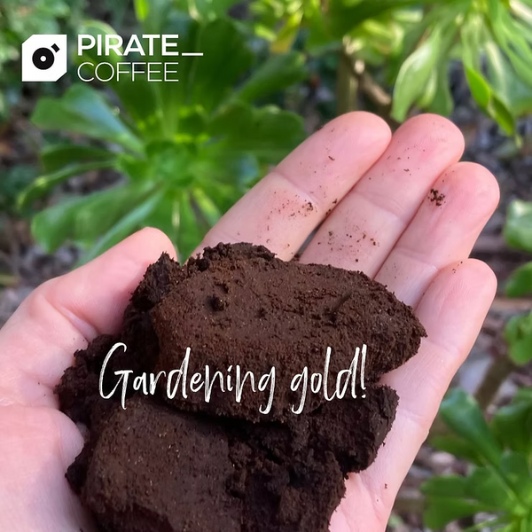 🌿 Good Coffee = Garden Gold ☕