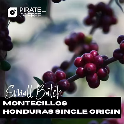 Montecillos: The High-Altitude Brew Making Lowly Basic Coffee Cry