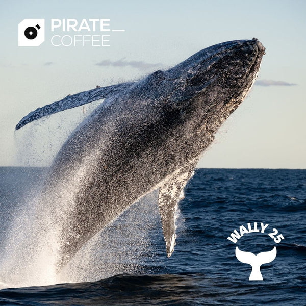 WALLY25 IS BACK, BABY — NOW WITH MORE WHALE