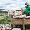Man in green, emptying sacks of freshly picked coffee cherries into a wooden hopper for further procesing.